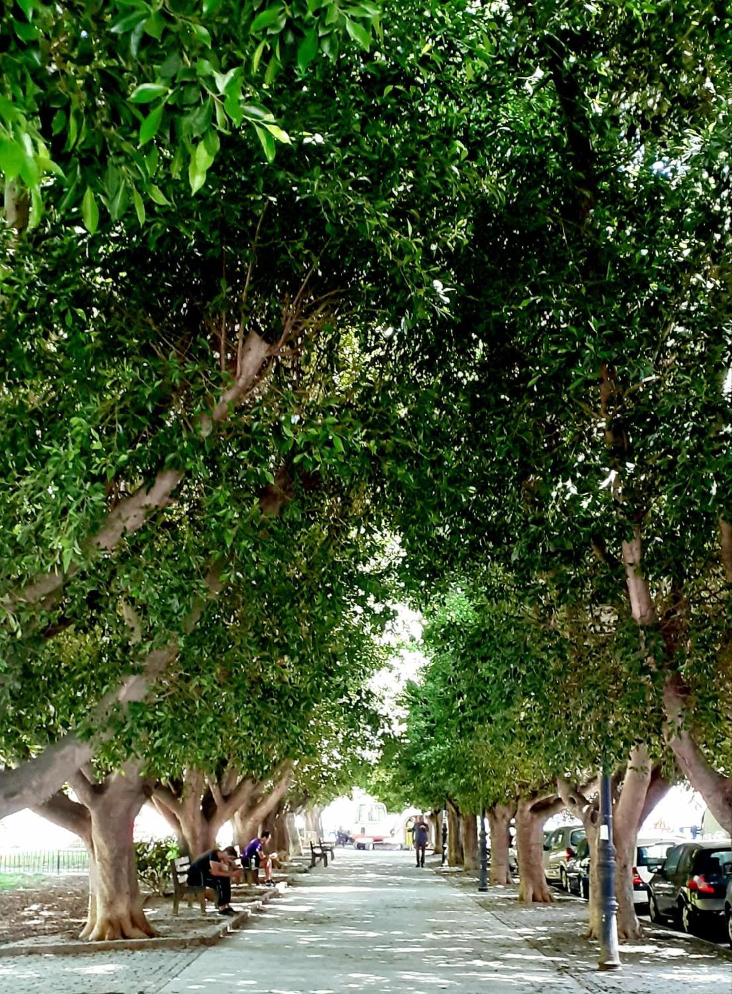 מלון ולנסיה Yard Patraix By Concept Flats מראה חיצוני תמונה
